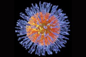 herpes virus cure herpes