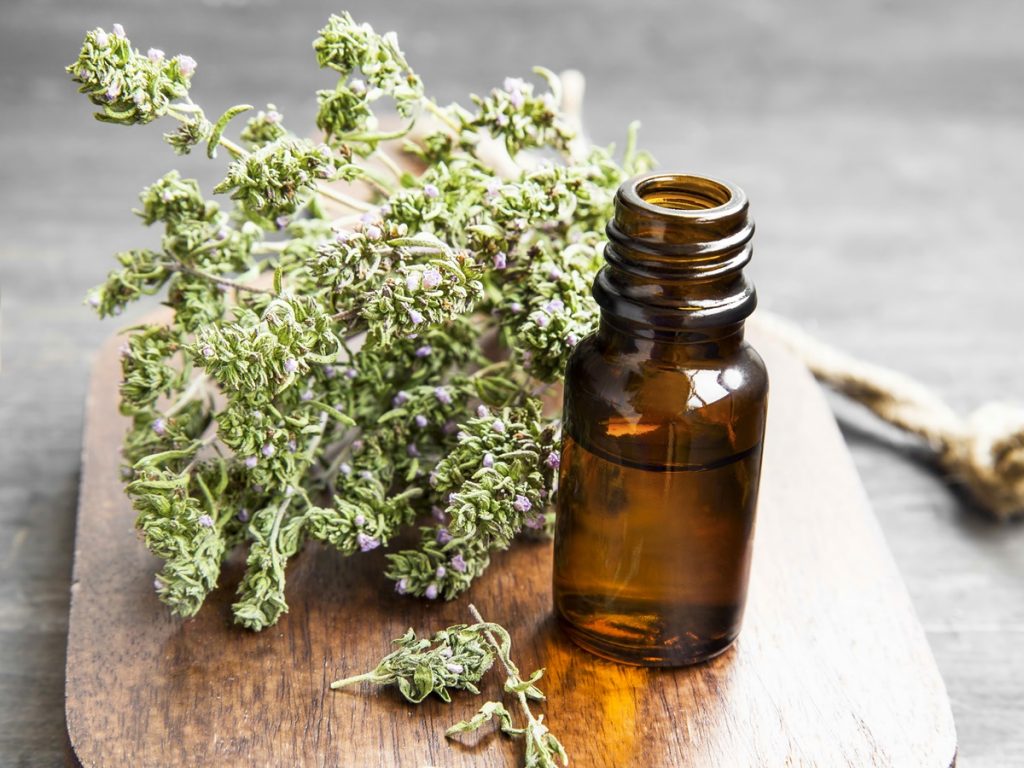 thyme oil for herpes