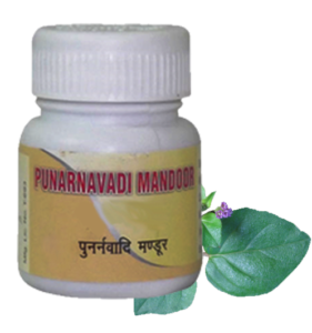 Punarnavadi Mandoor – The Only Cure For Herpes That Works